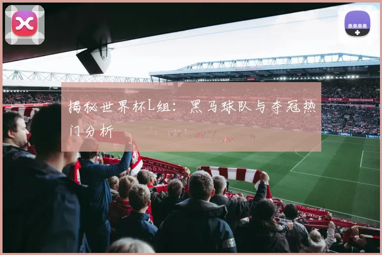 揭秘世界杯L组：黑马球队与夺冠热门分析